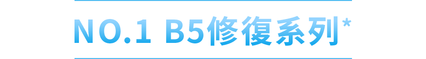 NO.1 B5修復系列